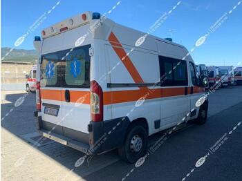 ORION srl FIAT DUCATO 250 (ID 3018) - Ambulans arabası