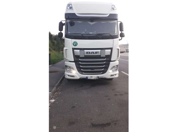 Çekici DAF XF 106 480 Retarder: fotoğraf 1