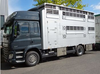 Yeni Hayvan nakil aracı kamyon DAF CF 430 SC Pezzaioli 2 Stock Hubdach *NEU*: fotoğraf 1
