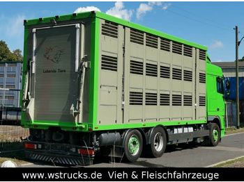 Hayvan nakil aracı kamyon DAF  XF 105/460 SC Menke 3 Stock Hubdach: fotoğraf 1