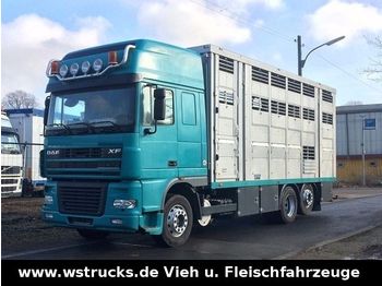 Hayvan nakil aracı kamyon DAF  XF 95/480 SSC Menke 3 Stock Vollalu Hubdach: fotoğraf 1