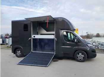 Yeni Hayvan nakil aracı kamyon Fiat Böckmann Compact L Stall LKW: fotoğraf 1