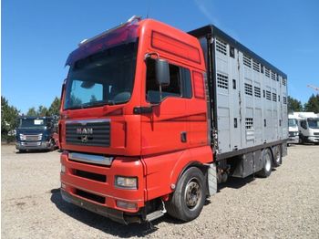 Hayvan nakil aracı kamyon MAN TGA 26.480 6x2 Menke 3 Stock: fotoğraf 1