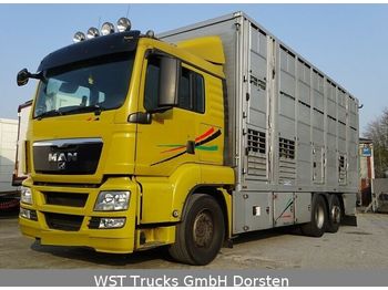 Hayvan nakil aracı kamyon MAN TGX 26.440 LX Menke 3 Stock: fotoğraf 1