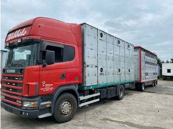 Hayvan nakil aracı kamyon Scania 164/580  Topline 2 Stock V8 Pezzaioli Anhänger: fotoğraf 1