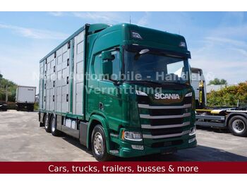 Hayvan nakil aracı kamyon Scania R500 LL HighLine *4Stock-Menke/Retarder/LenkLift: fotoğraf 1