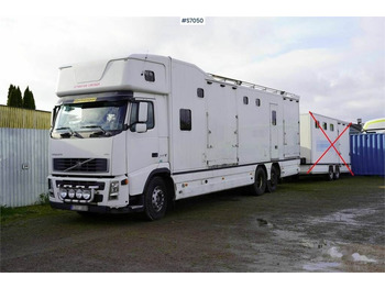 At taşıma aracı Volvo FH 400 6*2 Horse transport with room for 9 horses: fotoğraf 2