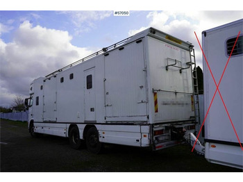 At taşıma aracı Volvo FH 400 6*2 Horse transport with room for 9 horses: fotoğraf 3