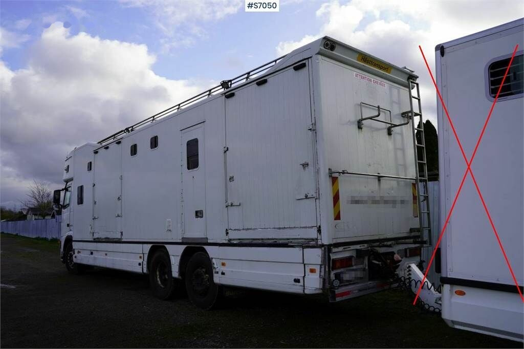 At taşıma aracı Volvo FH 400 6*2 Horse transport with room for 9 horses: fotoğraf 3