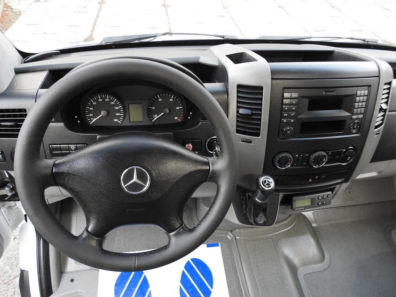 Frigorifik kamyonet Mercedes-Benz SPRINTER 313 Izotermes: fotoğraf 30
