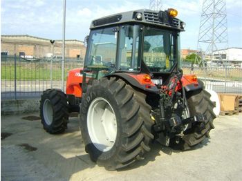 MASSEY FERGUSON 3655 frutteto dt - Traktör