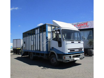 Hayvan nakil aracı kamyon IVECO EuroCargo 80E
