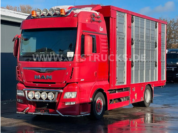 Hayvan nakil aracı kamyon MAN TGX 18.580