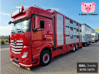 Hayvan nakil aracı kamyon MERCEDES-BENZ Actros