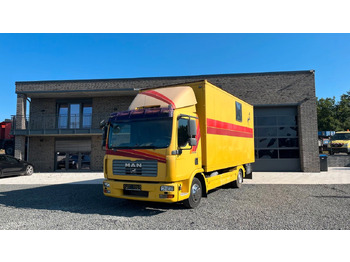 At taşıma aracı MAN TGL 10.180