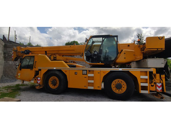 Mobil vinç TEREX