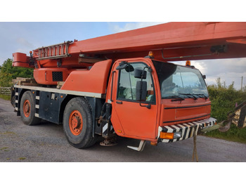 Mobil vinç TEREX
