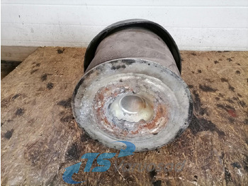 Hava süspansiyonu - Kamyon Mercedes-Benz Air suspension A9603201817: fotoğraf 3
