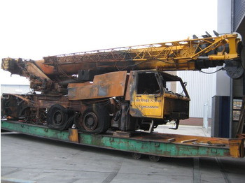 Mobil vinç TEREX