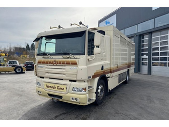 At taşıma aracı DAF CF 410