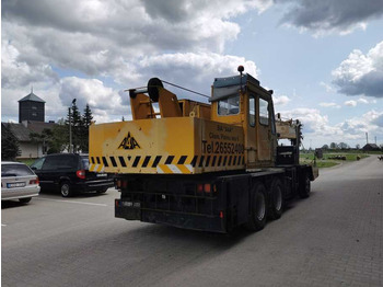 Mobil vinç Tadano TL250: fotoğraf 5