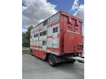 Hayvan nakil aracı kamyon DAF XF 460 + Przyczepa Pezzaoli - 3X Trzoda, 2 X Bydło I 3 poziomy  I Podnoszony dach I Hydroburta I Osie Skrętne I Poidła I Wentylatory I Pilot Manualny | Euro5: fotoğraf 3