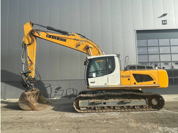Paletli ekskavatör LIEBHERR R 926