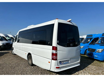 Minibüs, Minivan Mercedes-Benz Sprinter 519: fotoğraf 5