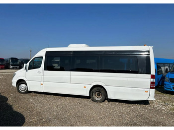Minibüs, Minivan Mercedes-Benz Sprinter 519: fotoğraf 4