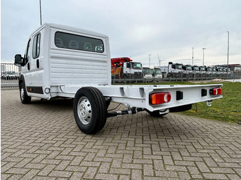 Yeni Kamyonet, Çift kabin kamyonet Peugeot Boxer L3H2 - 2.0D Blue - 160 HP - 7 SEATS - NEW - 8 UNITS: fotoğraf 3 Yeni Kamyonet, Çift kabin kamyonet Peugeot Boxer L3H2 - 2.0D Blue - 160 HP - 7 SEATS - NEW - 8 UNITS: fotoğraf 3