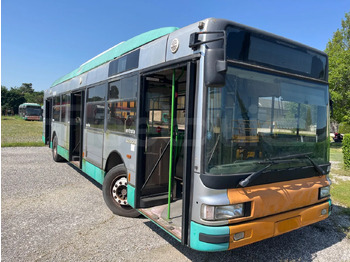 Şehir otobüsü IRISBUS