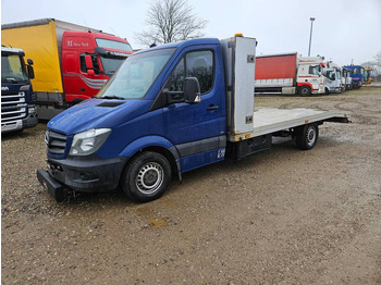 Panelvan MERCEDES-BENZ Sprinter 319