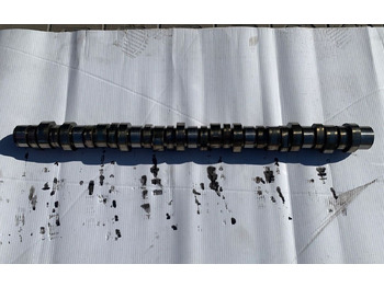 : başlığın fotoğrafı