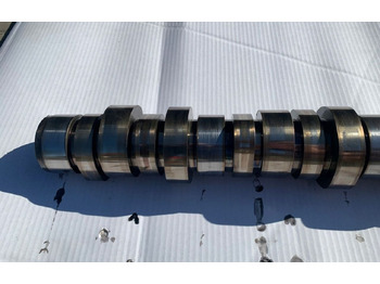 Eksantrik mil - Kamyon VOLVO WAŁEK ROZRZĄDU VOLVO FH 4 FM 4 RENAULT GAMA T C K D13K 22145979: fotoğraf 2