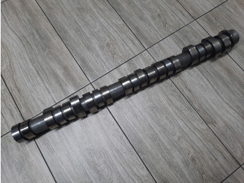 Eksantrik mil RENAULT D