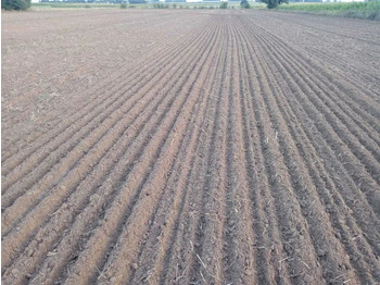 Toprak işleme makinesi Lemken Karat 9/500 agregat bezorkowy: fotoğraf 2