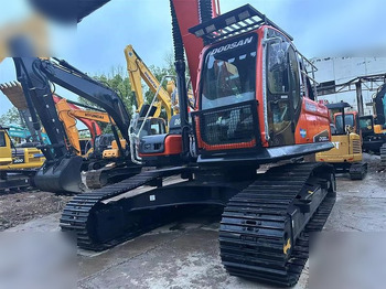 Paletli ekskavatör DOOSAN DX300 LC-9C: fotoğraf 4