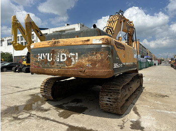 Paletli ekskavatör HYUNDAI ROBEX 305 LC-7: fotoğraf 3
