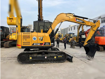 Paletli ekskavatör SANY SY75C: fotoğraf 2
