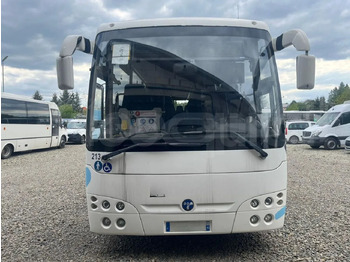 Şehirlerarası otobüs TEMSA