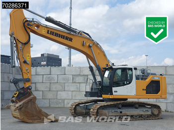 Paletli ekskavatör LIEBHERR R 934
