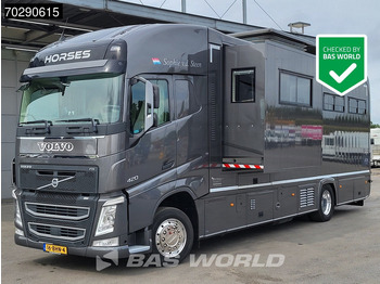 At taşıma aracı VOLVO FH 420