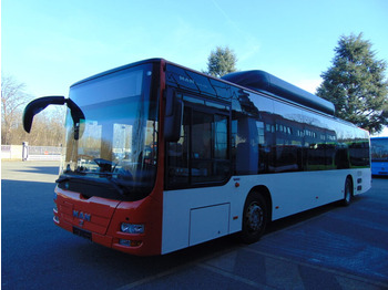 Şehir otobüsü N.4 MAN LION’S CITY CNG – Anno 2014: fotoğraf 3