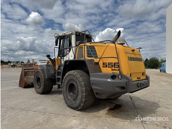 Tekerlekli yükleyici 2010 Liebherr L556 2plus2 Chargeuse Sur Pneus Wheel Loader: fotoğraf 3 Tekerlekli yükleyici 2010 Liebherr L556 2plus2 Chargeuse Sur Pneus Wheel Loader: fotoğraf 3