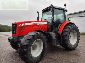 Traktör MASSEY FERGUSON 6465