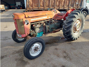 Traktör MASSEY FERGUSON