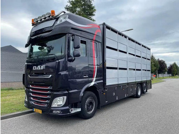 Hayvan nakil aracı kamyon DAF XF 460