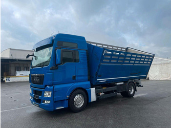 Damperli kamyon MAN TGX 18.480