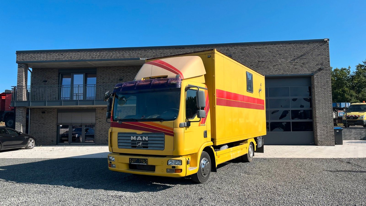 MAN TGL 10.180 Euro 4 Pferdetransporter Horse MAN TGL 10.180 Euro 4 Pferdetransporter Horse - At taşıma aracı: fotoğraf 1 MAN TGL 10.180 Euro 4 Pferdetransporter Horse MAN TGL 10.180 Euro 4 Pferdetransporter Horse - At taşıma aracı: fotoğraf 1