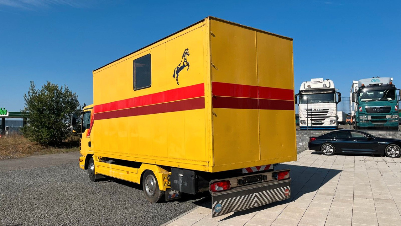 MAN TGL 10.180 Euro 4 Pferdetransporter Horse MAN TGL 10.180 Euro 4 Pferdetransporter Horse - At taşıma aracı: fotoğraf 5 MAN TGL 10.180 Euro 4 Pferdetransporter Horse MAN TGL 10.180 Euro 4 Pferdetransporter Horse - At taşıma aracı: fotoğraf 5